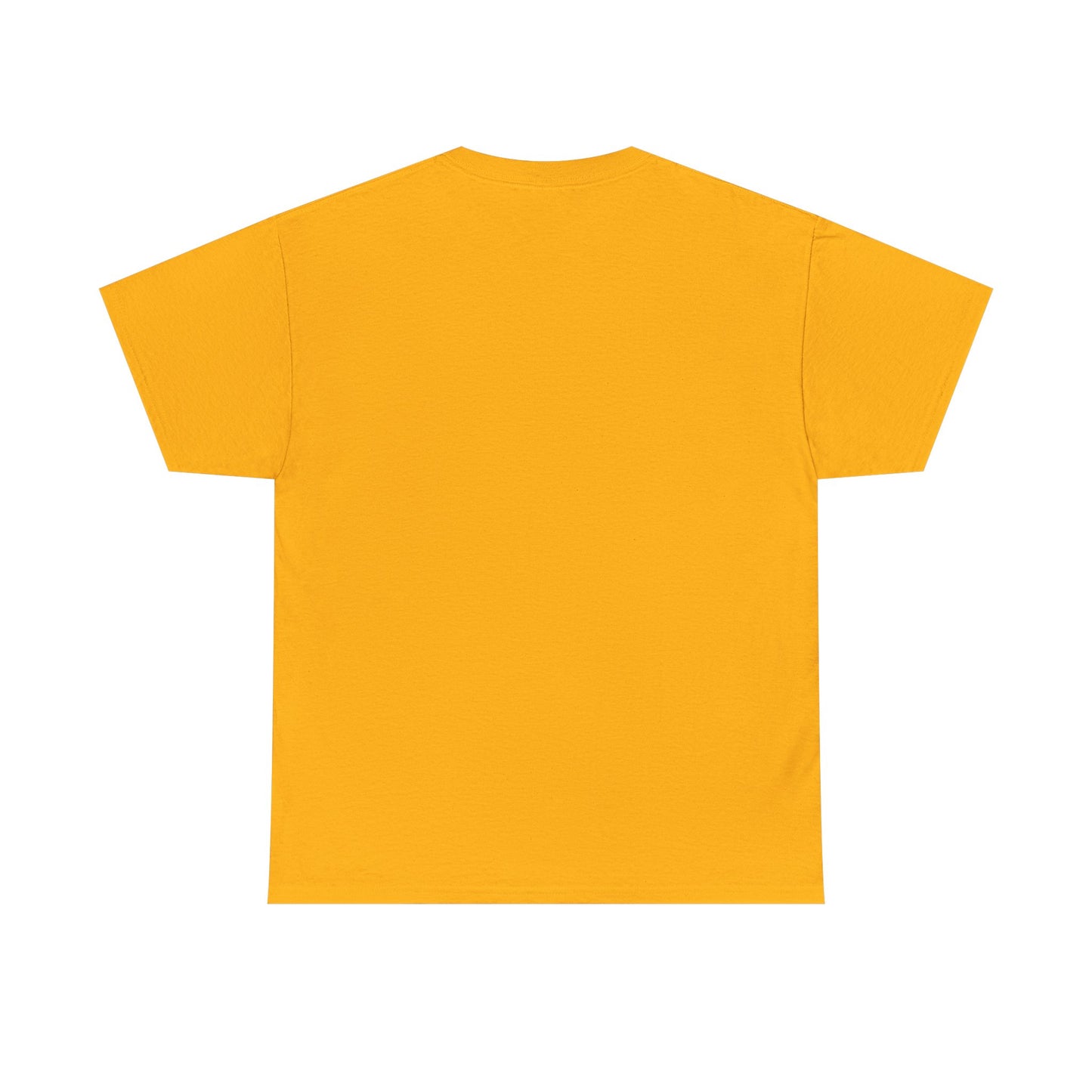 GMR Unisex Vintage Radio Heavy Cotton Tee