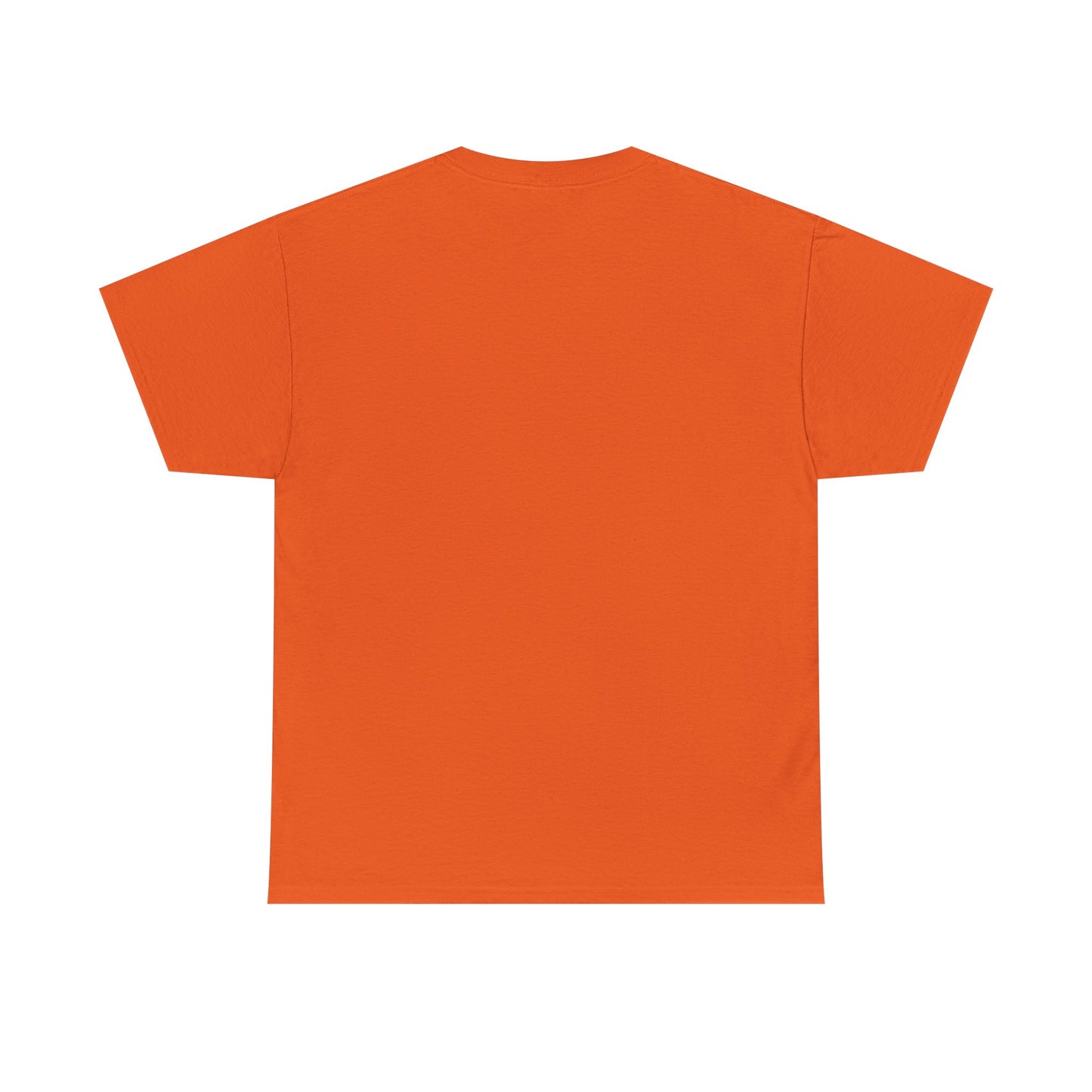 GMR Unisex Vintage Radio Heavy Cotton Tee