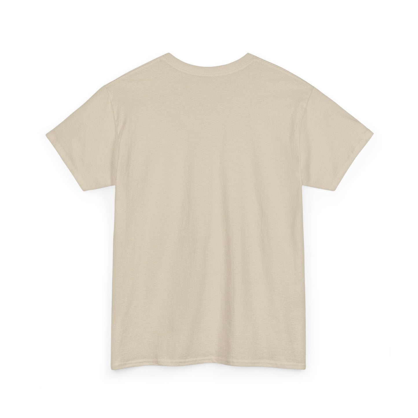 GMR Unisex Vintage Radio Heavy Cotton Tee